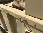 General Appearance with Paint