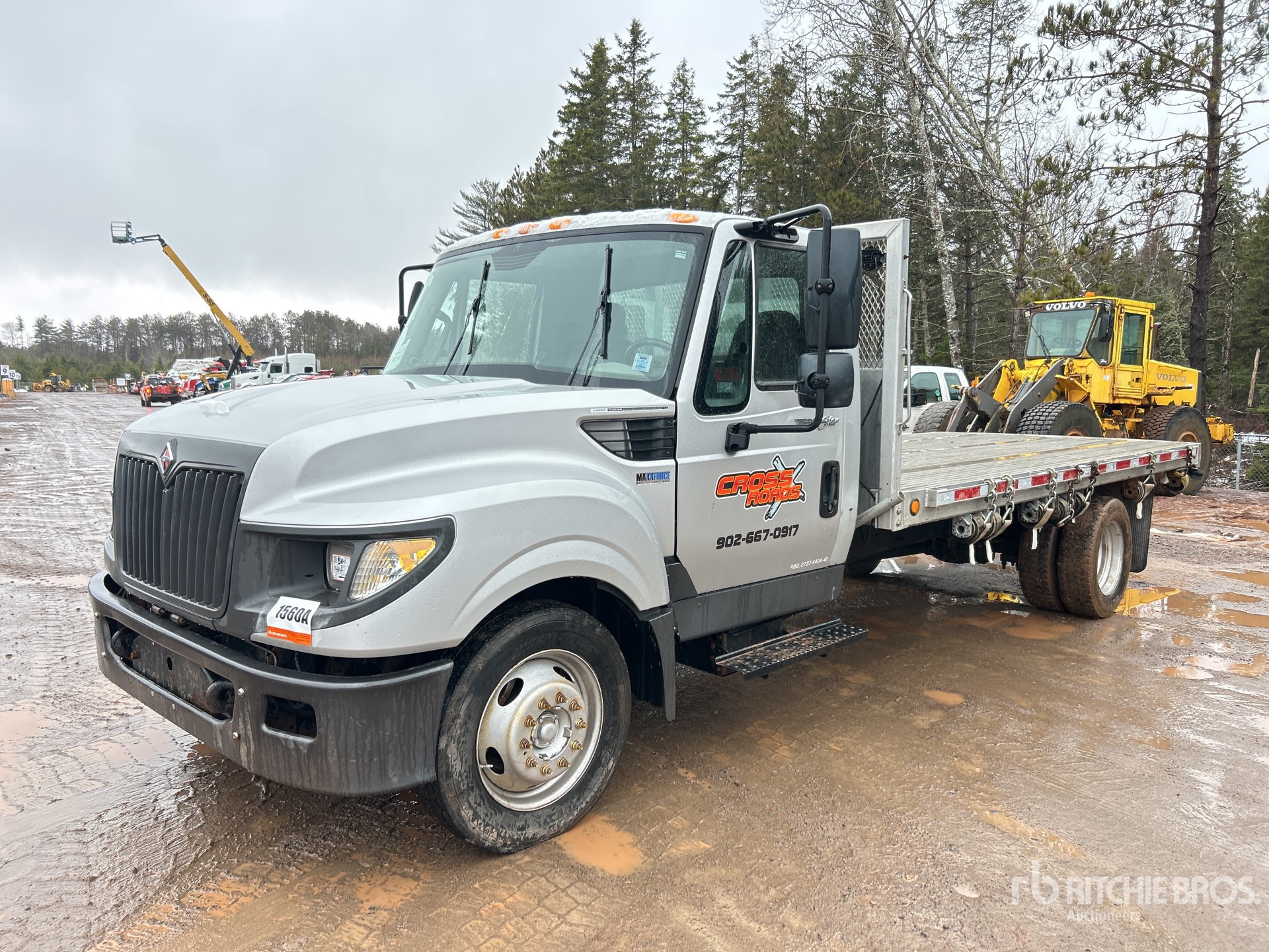 General Appearance with Bild, Ecke vorne links