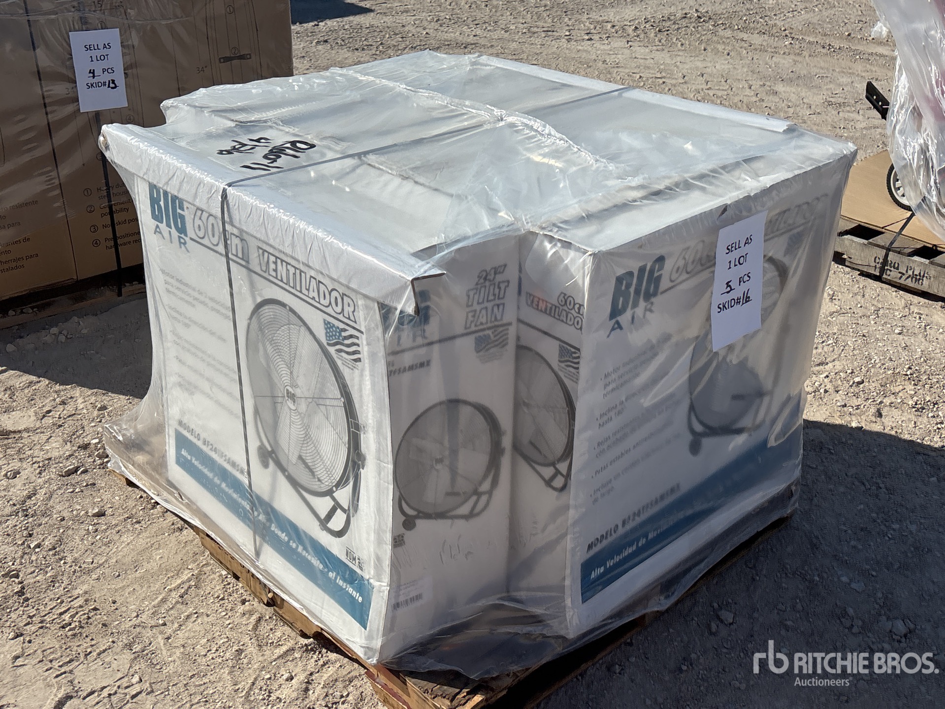 General Appearance with Zdjęcie, lewy dolny róg