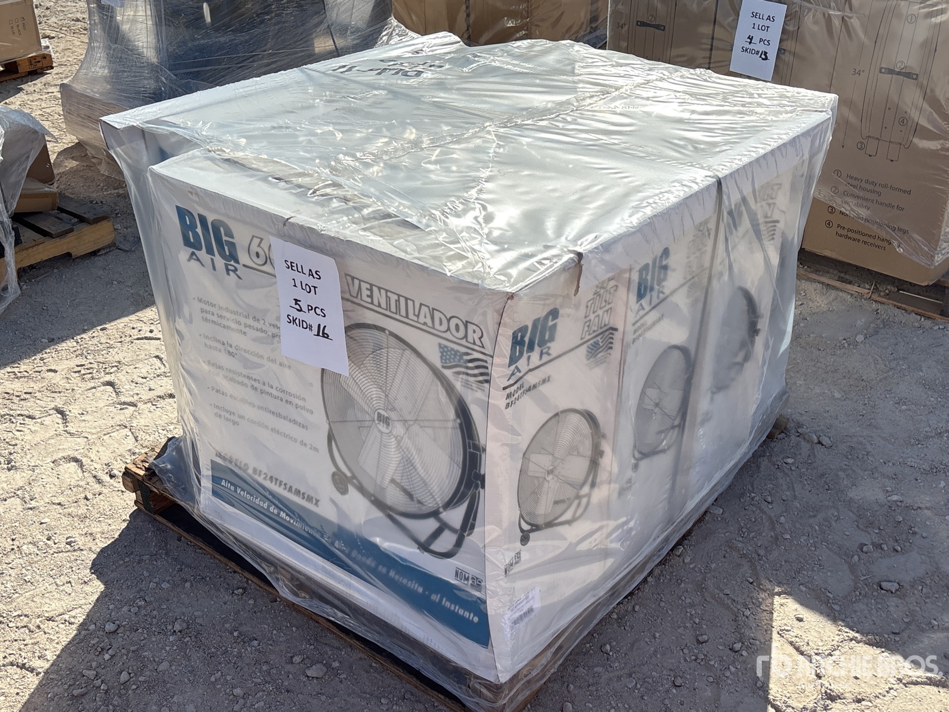 General Appearance with Zdjęcie, prawy dolny róg