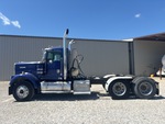 General Appearance with Paint