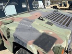 General Appearance with Paint