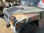 General Appearance with Paint