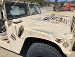 General Appearance with Paint