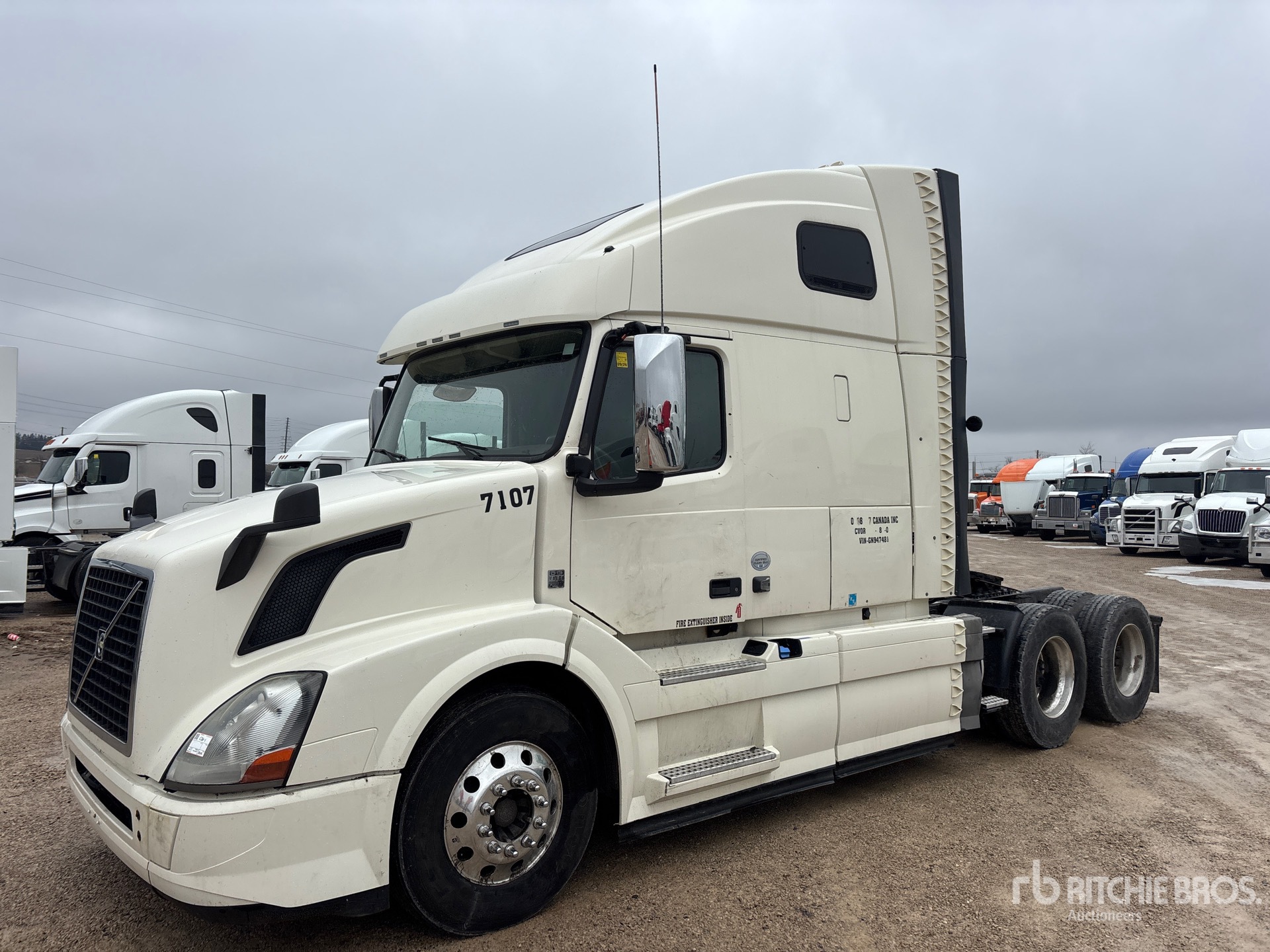 General Appearance with Spin