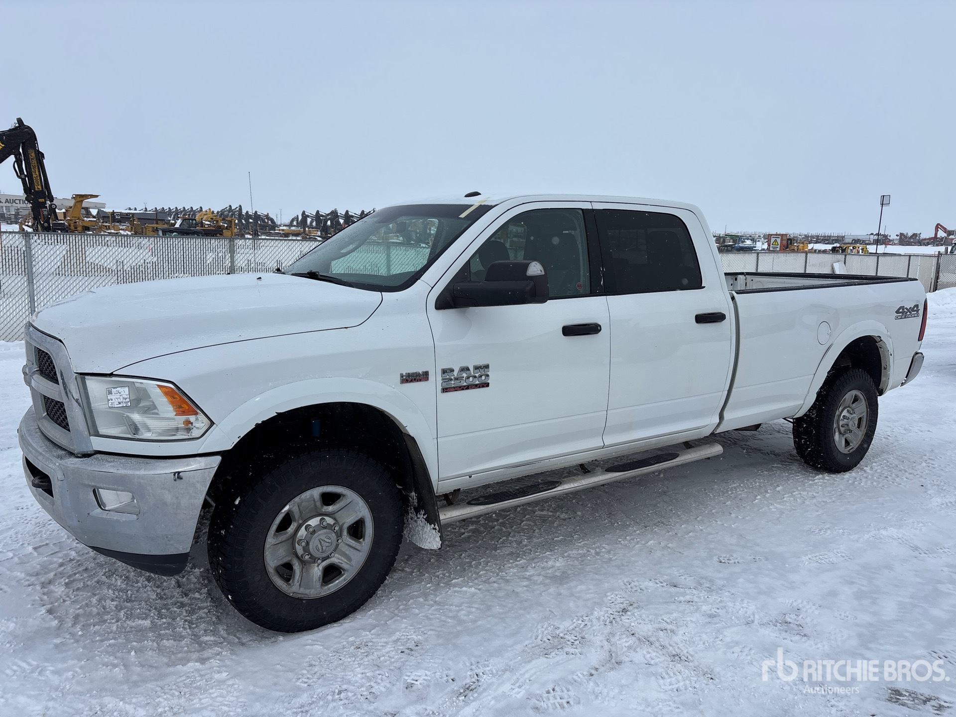 General Appearance with Spin