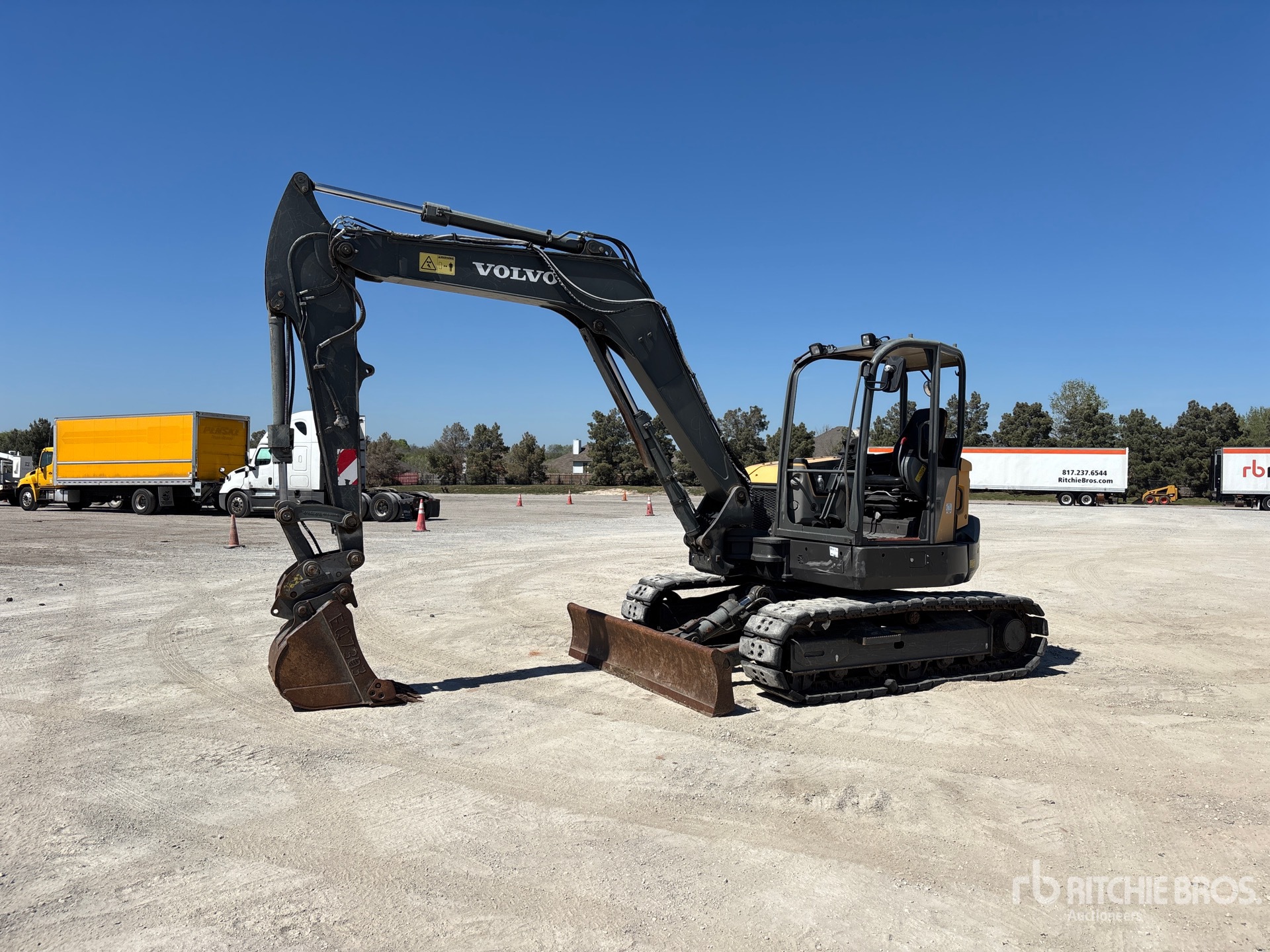 General Appearance with Spin