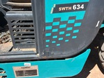 General Appearance with Paint