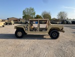 General Appearance with Paint