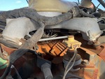 Engine with Fuel System