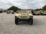 General Appearance with Paint