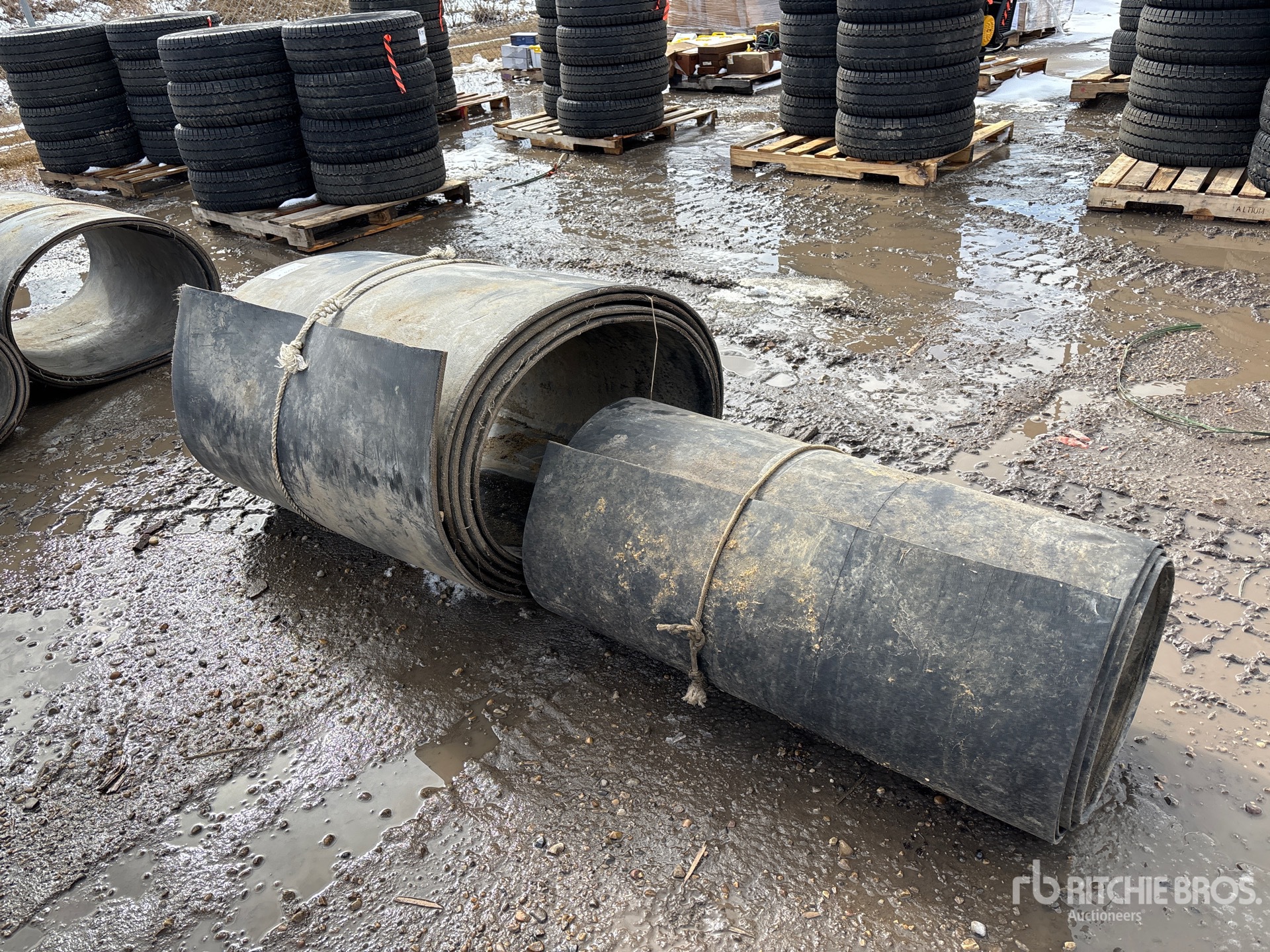 General Appearance with Zdjęcie, prawy górny róg