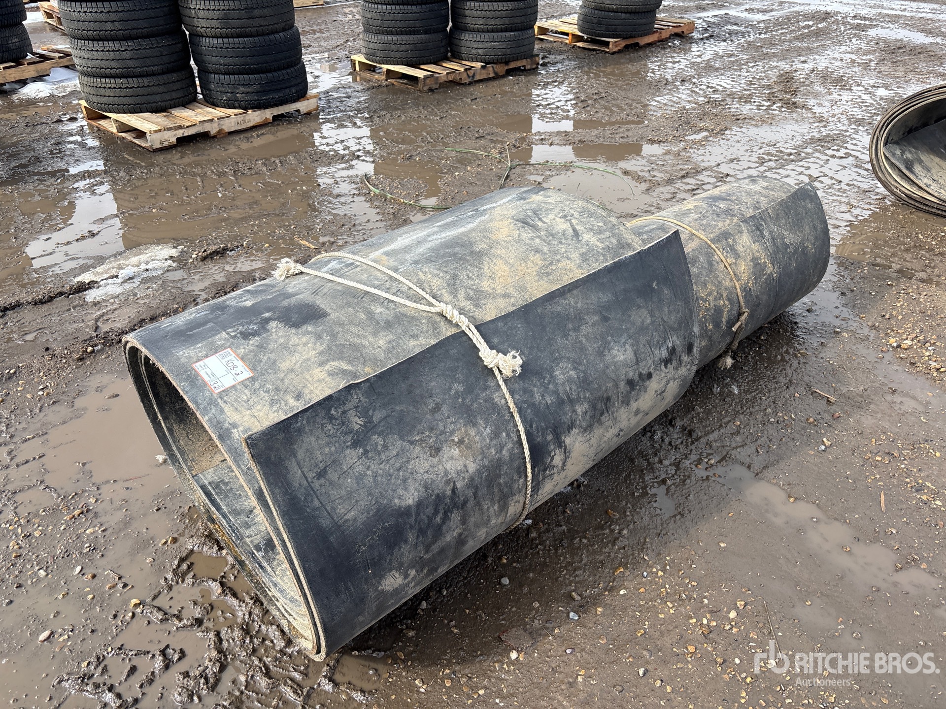 General Appearance with Zdjęcie, prawy dolny róg