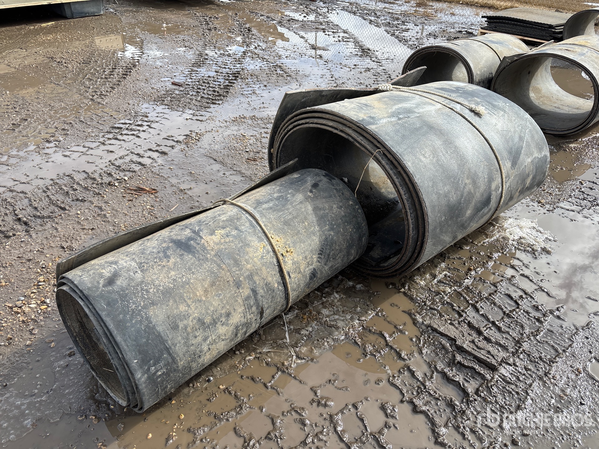 General Appearance with Zdjęcie, lewy górny róg