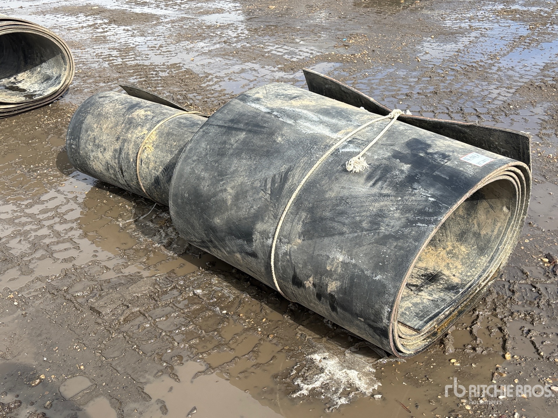 General Appearance with Zdjęcie, lewy dolny róg