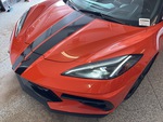 General Appearance with Paint