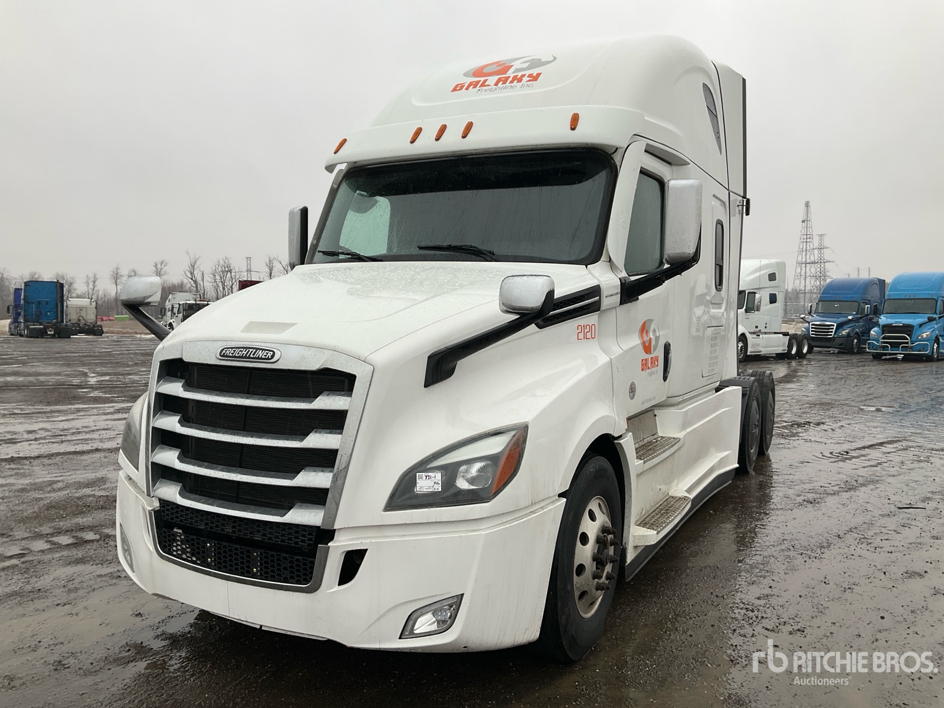 General Appearance with Spin