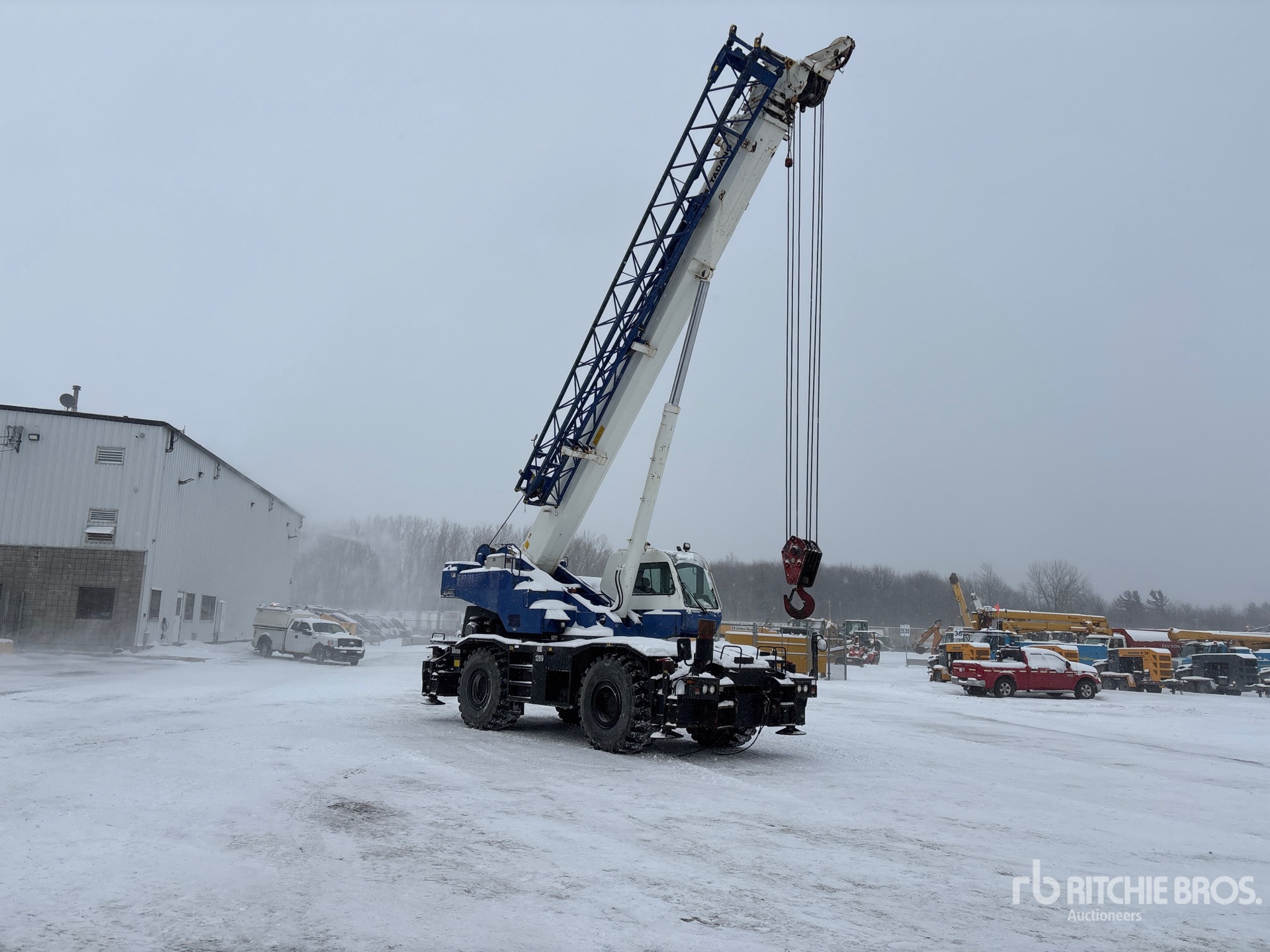 General Appearance with Zdjęcie, prawy górny róg