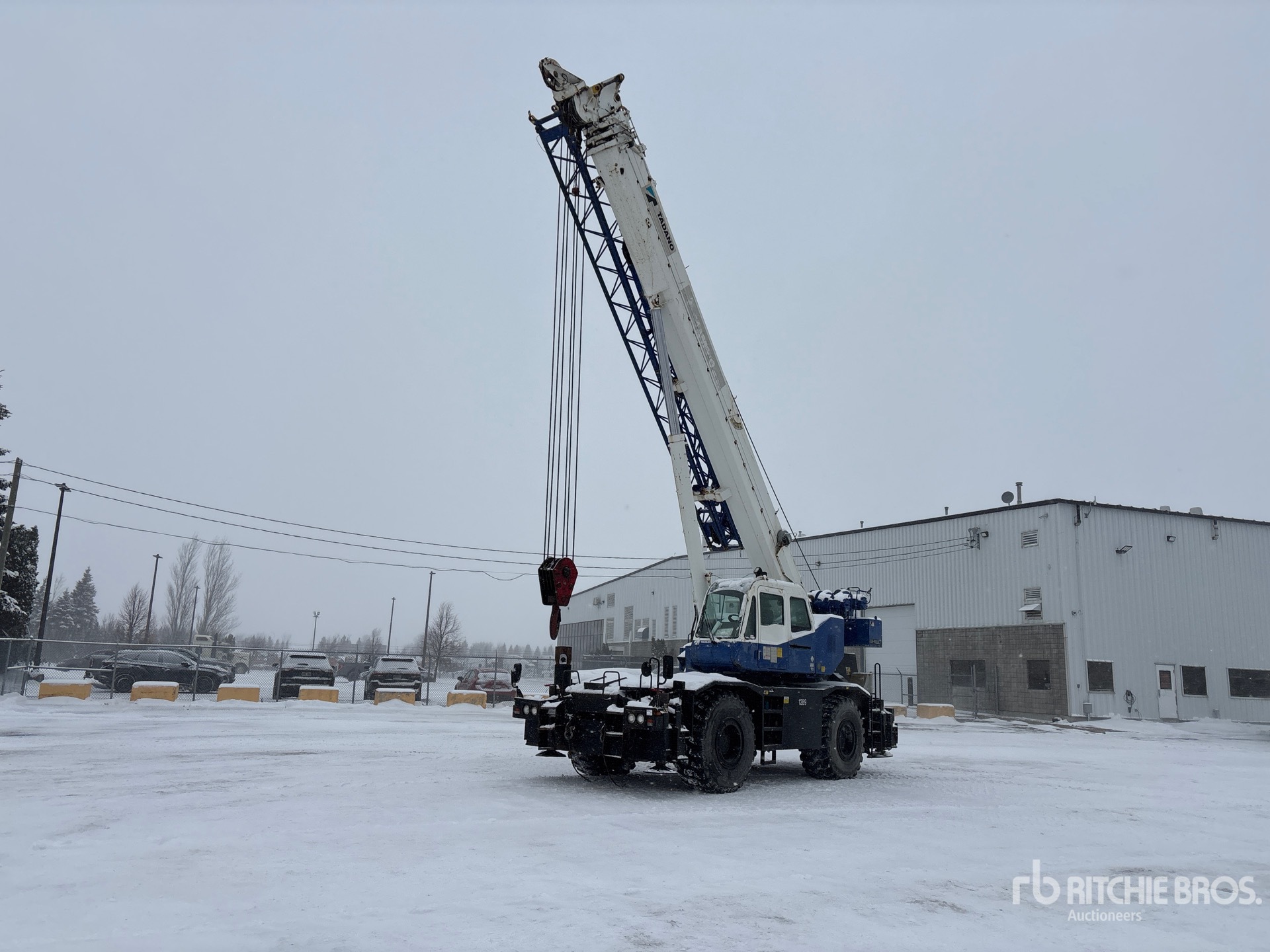 General Appearance with Zdjęcie, lewy górny róg