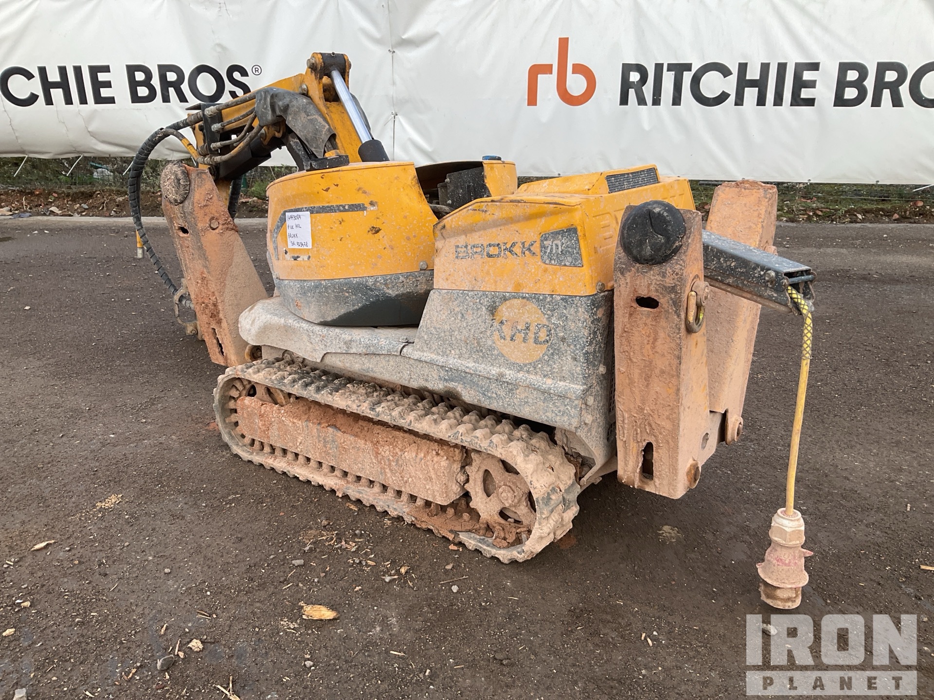 General Appearance with Zdjęcie, lewy dolny róg