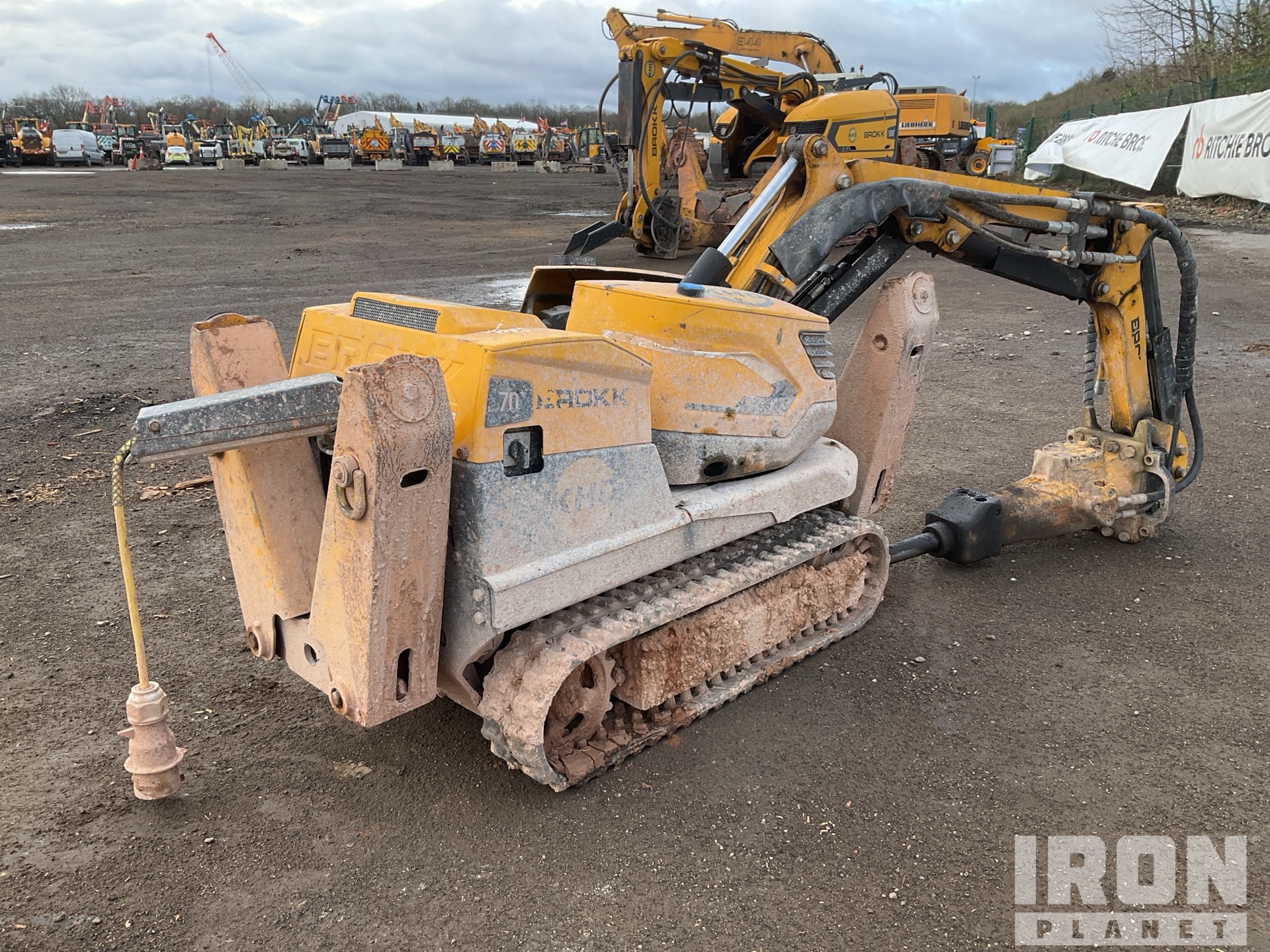 General Appearance with Zdjęcie, prawy dolny róg