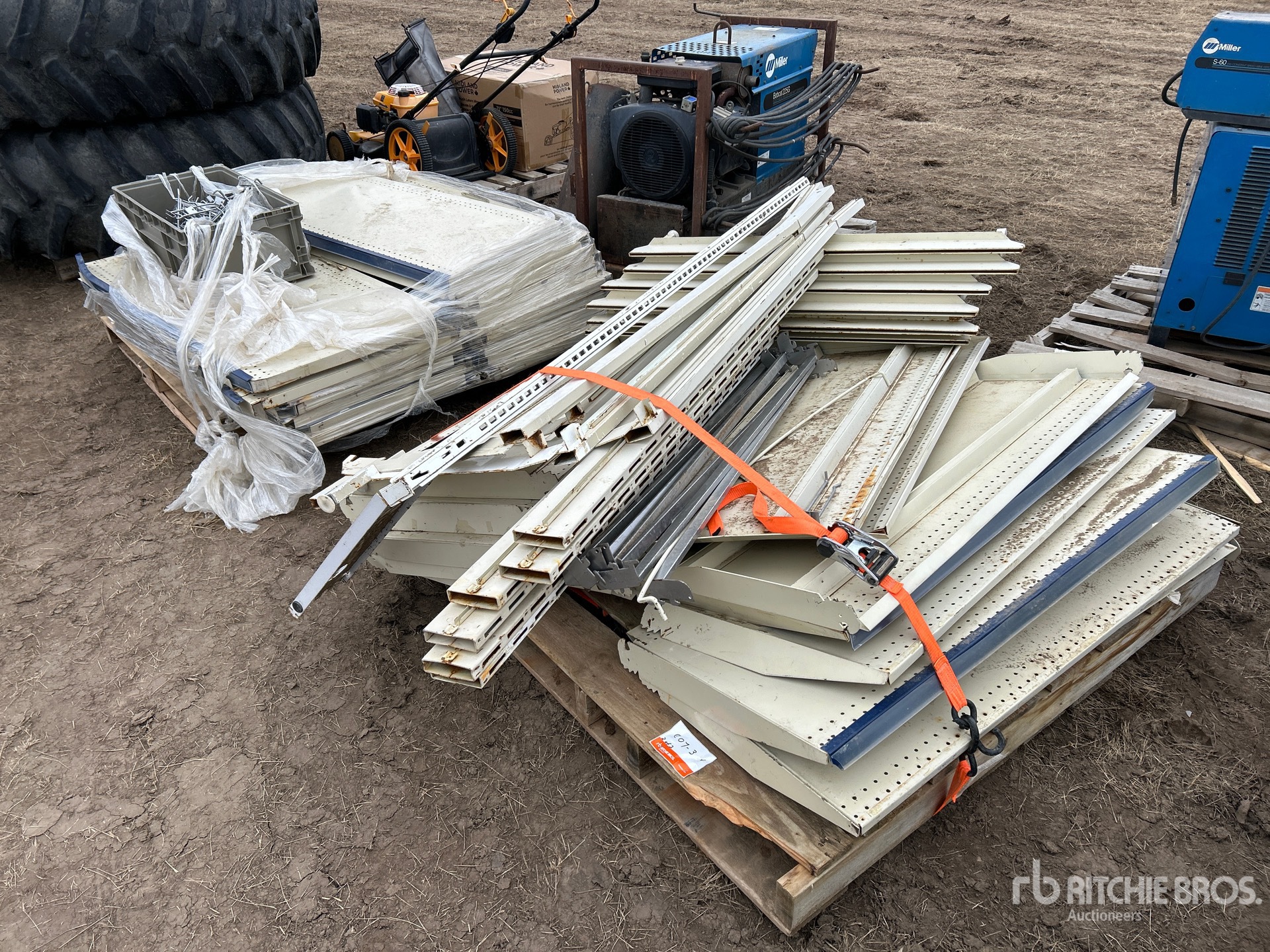 General Appearance with