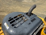 Engine with Exhaust System