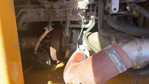 Engine with Exhaust System