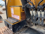General Appearance with Paint