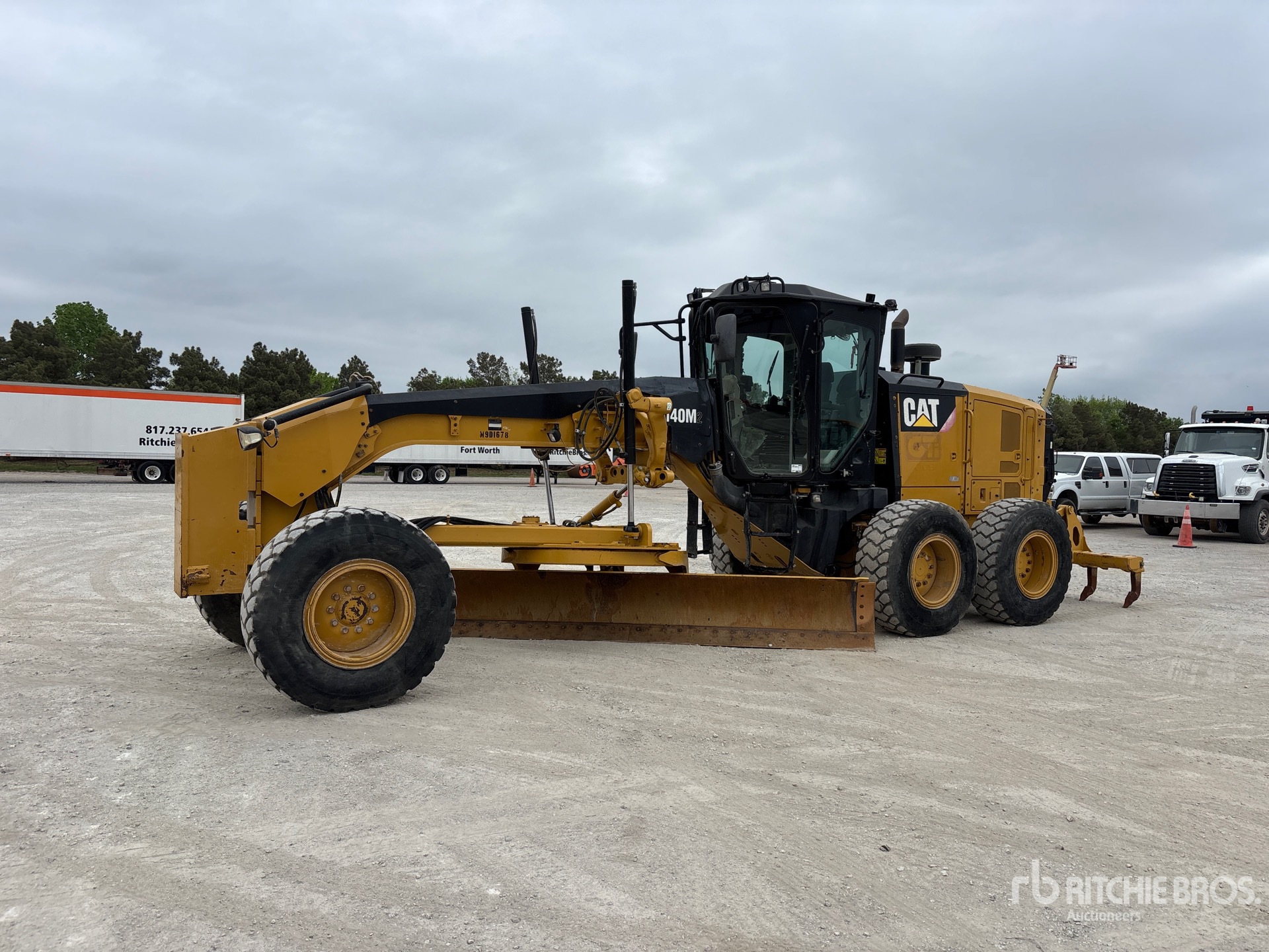 General Appearance with Spin