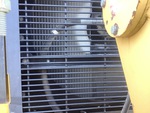 Engine with Radiator