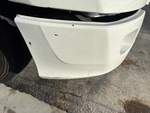 General Appearance with Pintura