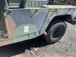 General Appearance with Paint