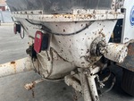 General Appearance with Paint