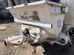 General Appearance with Paint