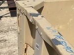 General Appearance with Paint