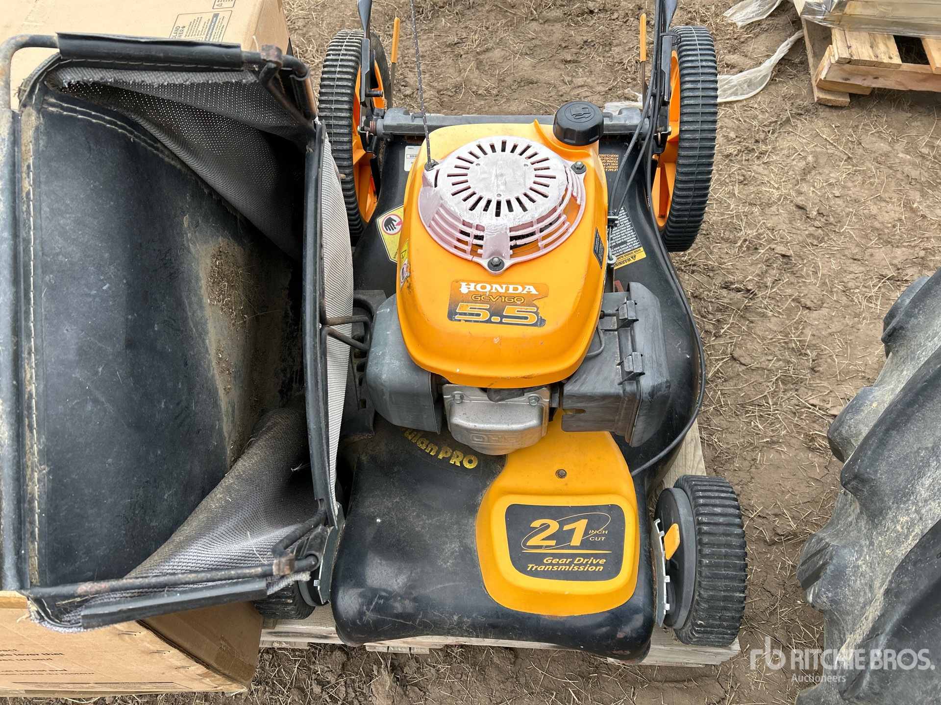 General Appearance with