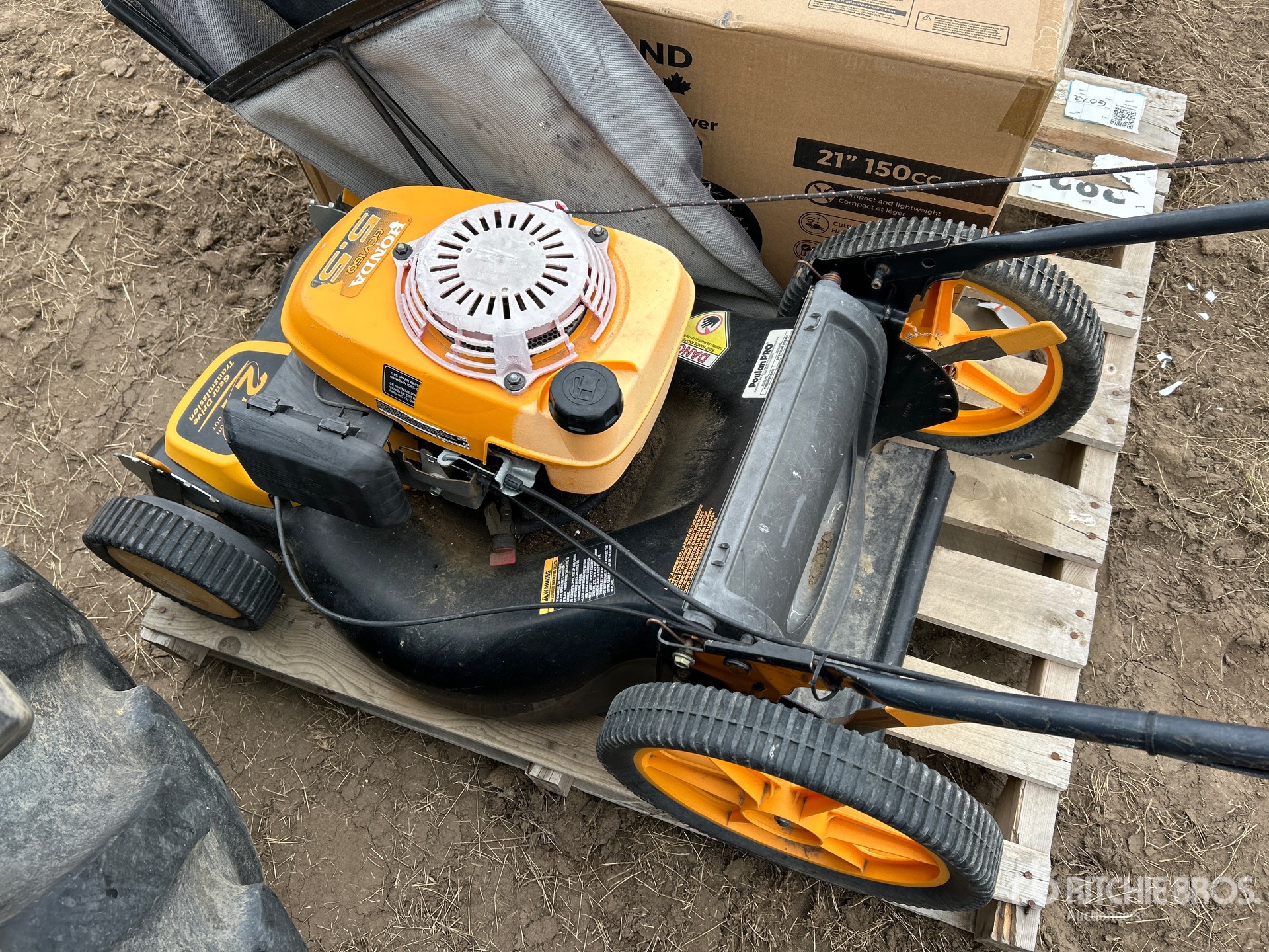 General Appearance with