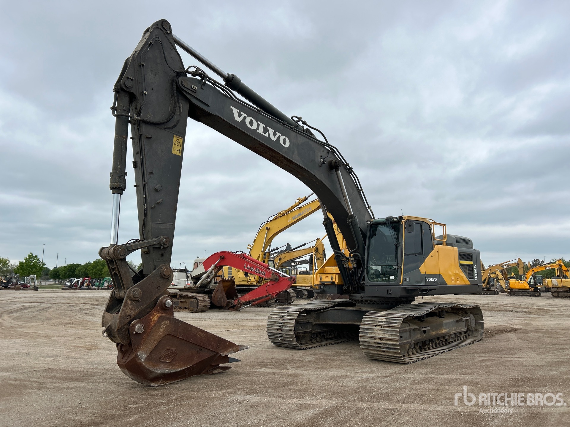 General Appearance with Spin