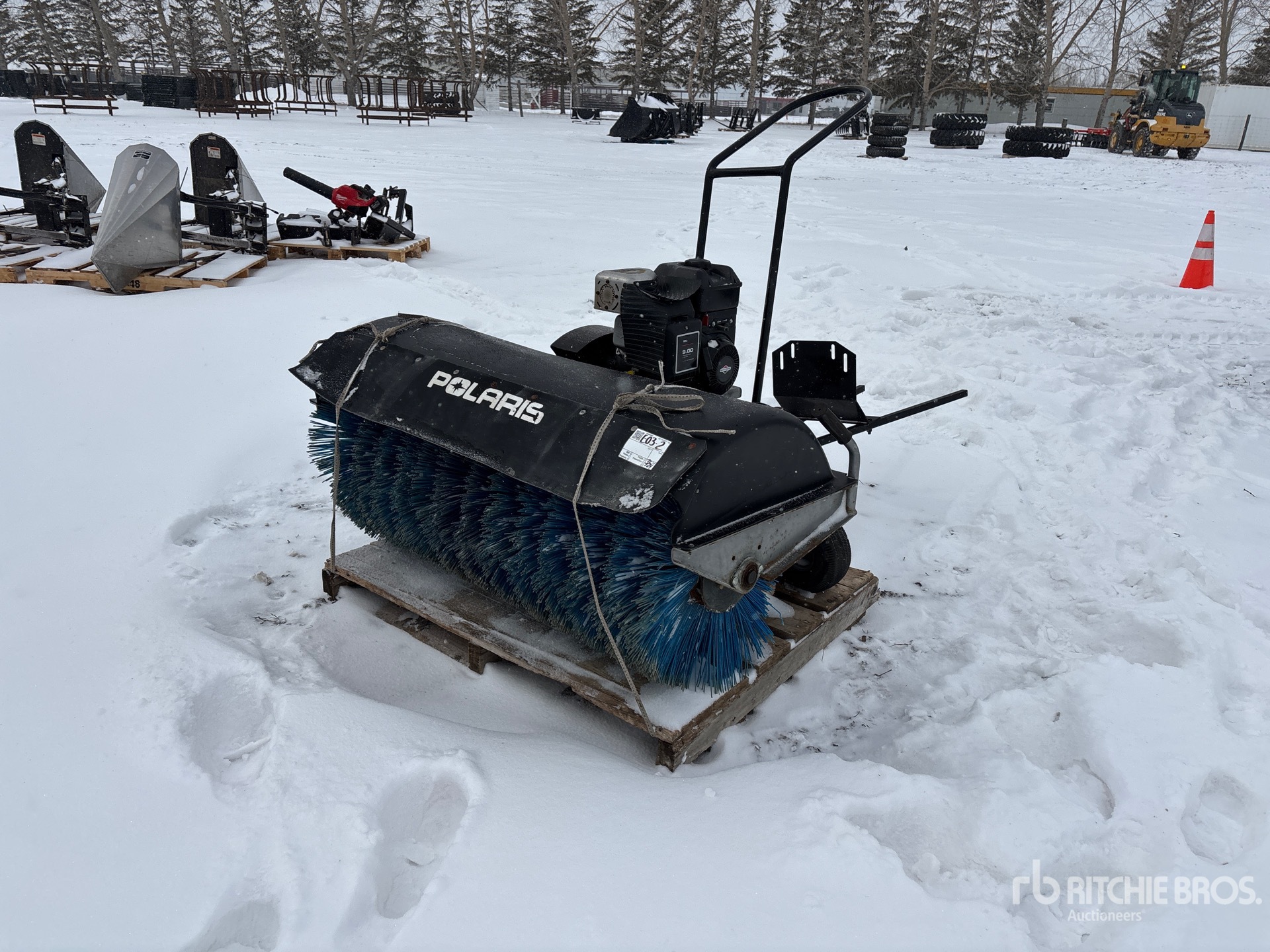 General Appearance with Bild, Ecke vorne links