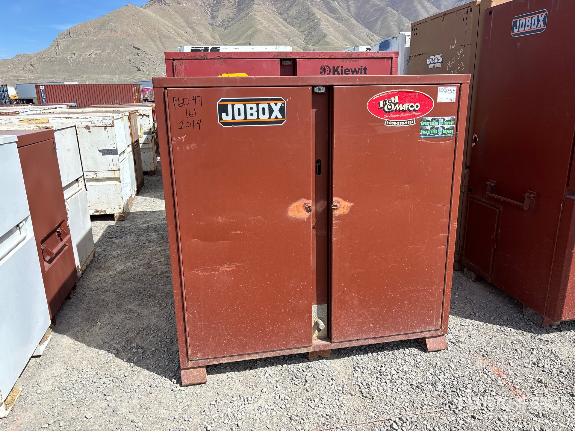 General Appearance with