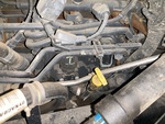 Engine with Fuel System