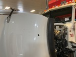 General Appearance with Paint