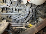 Engine with Fuel System