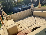 General Appearance with Paint