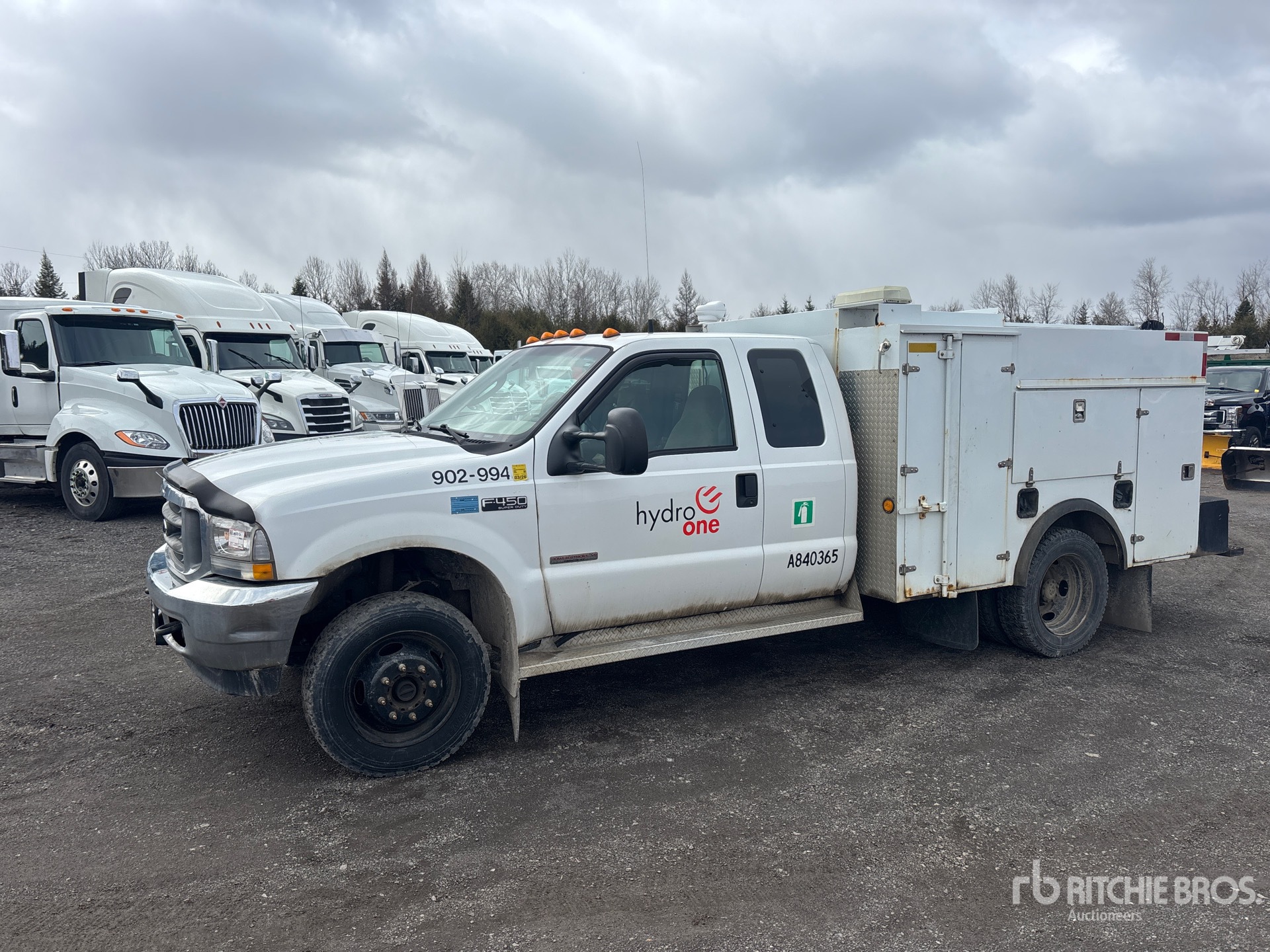 General Appearance with Spin