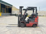 General Appearance with Paint