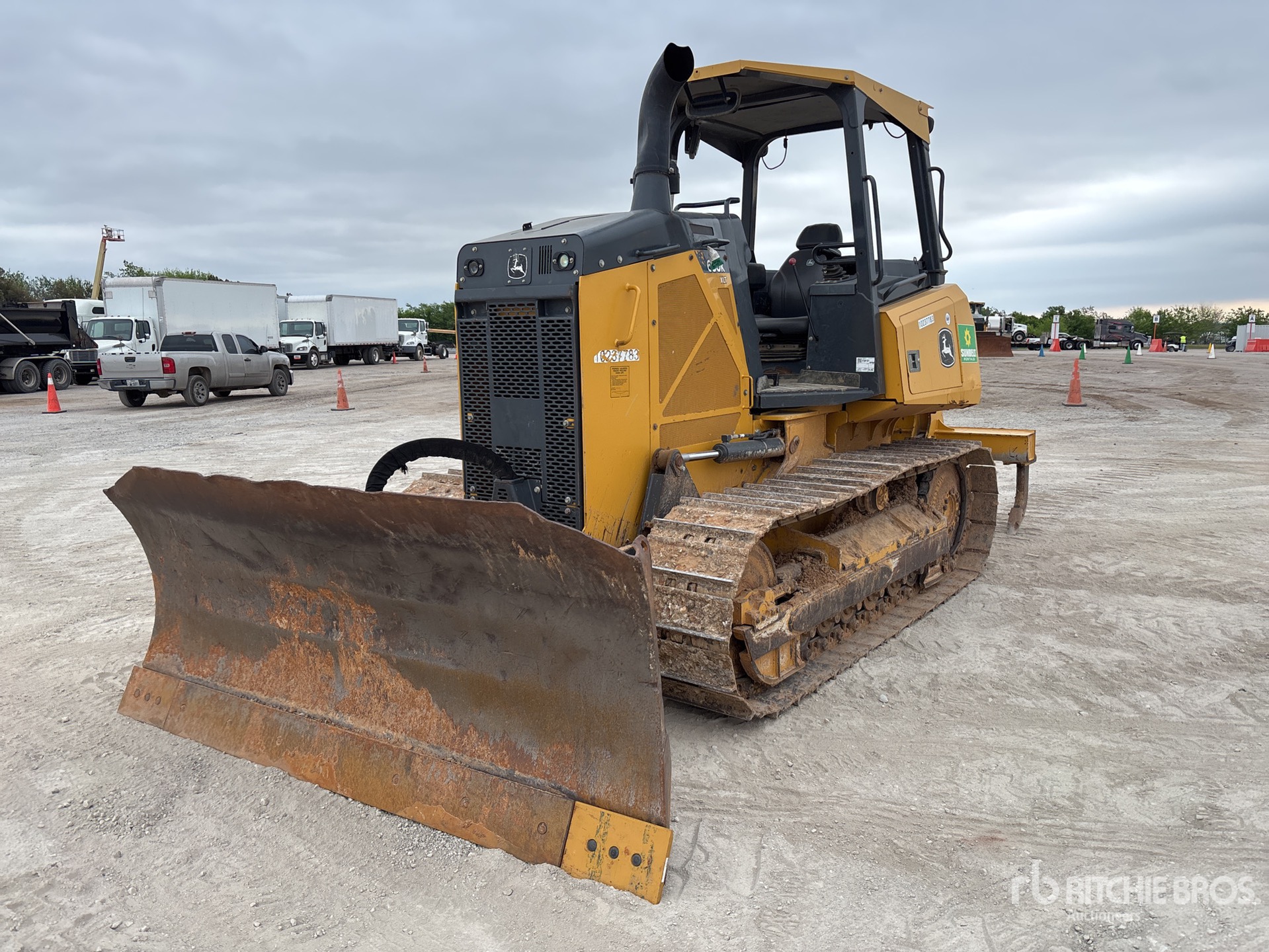 General Appearance with Spin