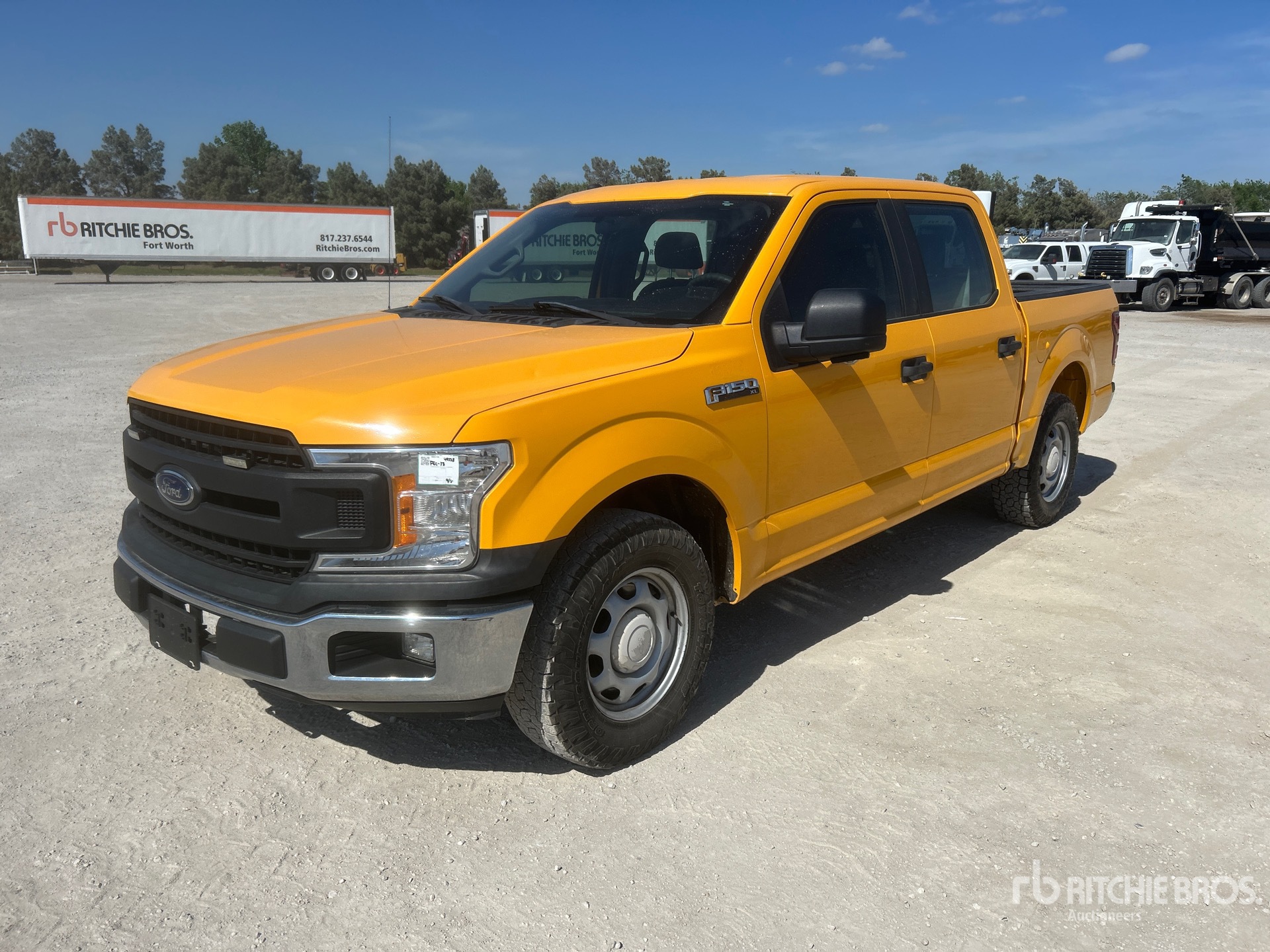 General Appearance with Spin