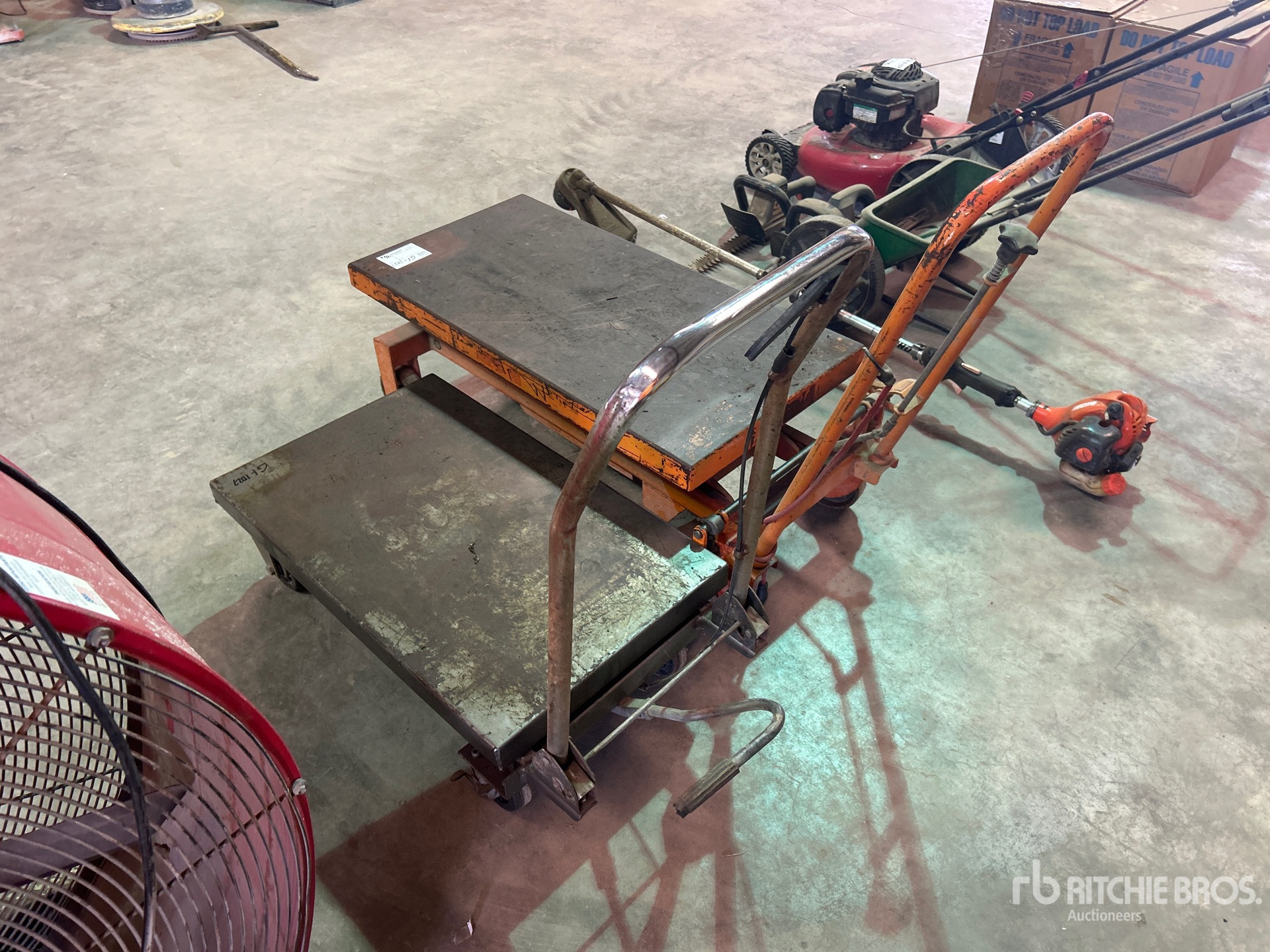 General Appearance with Foto, angolo posteriore sinistro